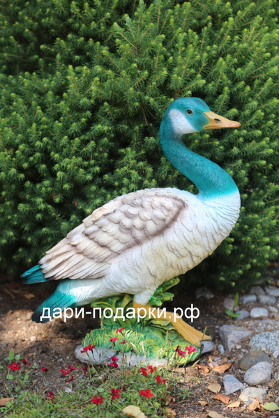 Садовая фигура Селезень Красавец 49*45см   2,5кг   полистоун Россия 2558/012540*