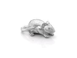 Кошельковая мышь серебряная. Koshelkovaya mysh