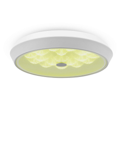 Freya, Потолочный светильник Cells, FR10012CL-L24W