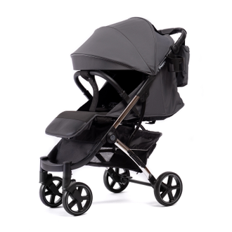 Коляска Прогулочная Peppy Polo 2.0 Steel Grey хром рама