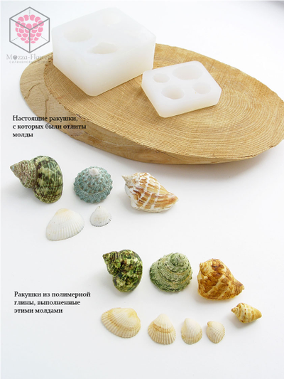 Набор силиконовых молдов "Ракушки"