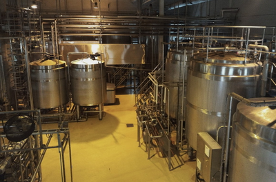 Экскурсия на молочную ферму "ЭкоНива" и молочный завод