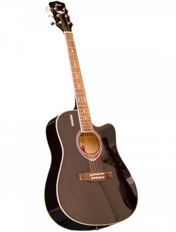 Акустическая гитара в аренду