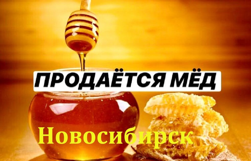 Креативная реклама меда
