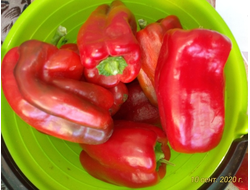 Перец сладкий Большая Берта (Big Bertha)