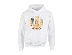 Толстовки год Кролика