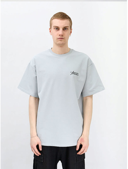Anteater Phat Tee 440 Светло-Серая в каталоге магазина Bagcom