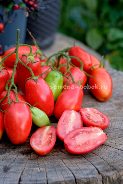 Томат Пальчики Мальвины, 10 шт