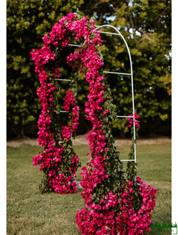 Арки садовые,арки в аренду,арки металлические,арка садовая купить,растения для садовой арки