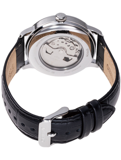 Мужские часы Orient RA-AK0802S