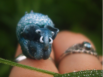 Волшебное колечко со Слоноулиткой