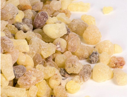 Гидролат Ладана (Boswellia carterii) Сомали, 100 мл