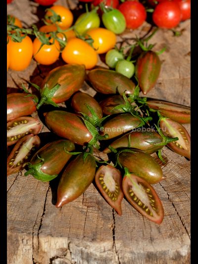 Томат Purple smaragd (Фиолетовый изумруд), 10 шт