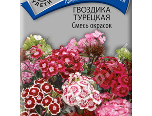 Гвоздики - Гвоздика турецкая Смесь окрасок Поиск
