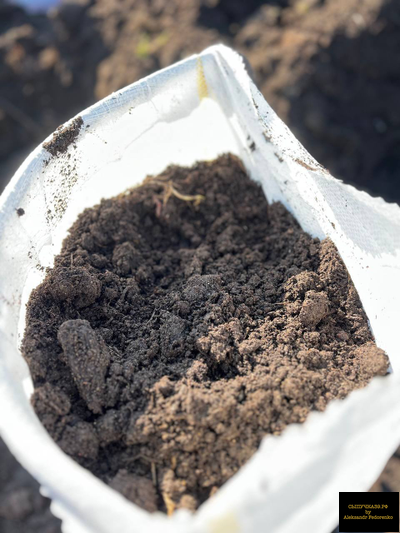 Коровий навоз и перегной