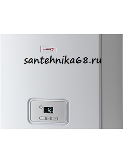 Настенный двухконтурный газовый котел Protherm Протерм Гепард MOV 23 Атмосферный