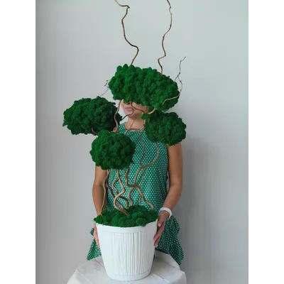 Живая эко-композиция 1002