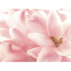 ШМ017  Панель SP006. Размер: 2800х610х6.