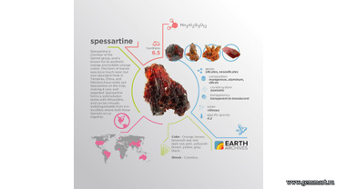 Инфографика