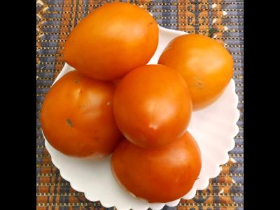 Томат Минусинские стаканы красные