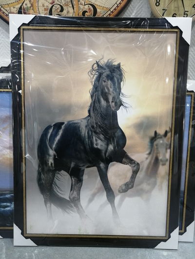 картина в раме  50х70 см Freedom