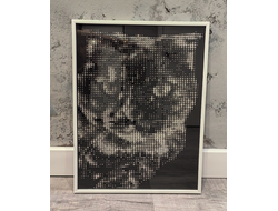 Портрет питомца формат А3 30х42 см