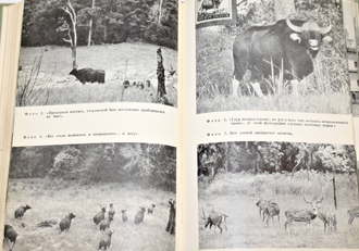 Джи Э.П. Дикие животные Индии. М.: Прогресс. 1968г.