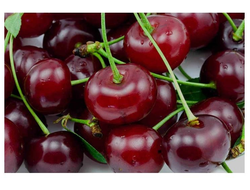 Подарок учителям(вишня)