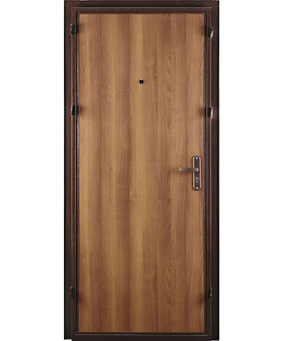Дверь СПЕЦ PRO BMD
