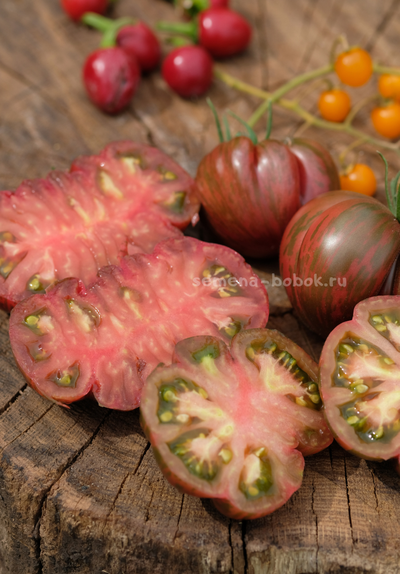 Томат Ярсон 12/1 (Jarson 12/1), 10 шт