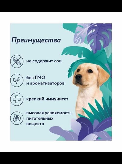 Florida (Флорида) влажный корм (консерва) для щенков с ягненком и черникой, 240 г