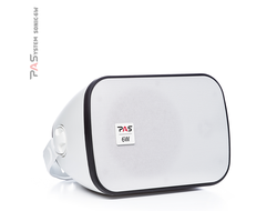 Настенная акустическая система PASystem SONIC-6W