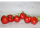Fragola Rosata (Розовая клубника, Италия)