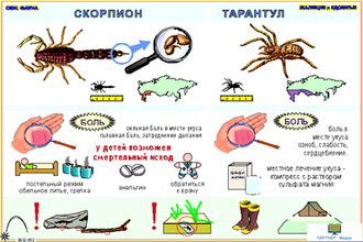 Ядовитые и жалящие животные  (13 шт), комплект кодотранспарантов (фолий, прозрачных пленок)