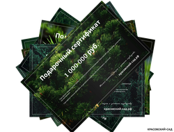 Подарочный сертификат на приобретение и посадку растений