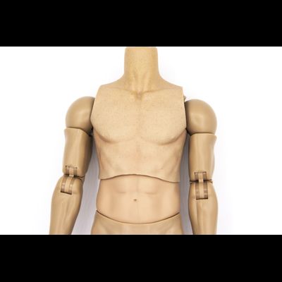 Тело DAMTOYS 1/6 (78063) - DAMTOYS