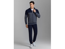 Костюмы  спортивные мужские 11SKM -1315 , трех цветов