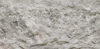 Devine Mushroon Stone Божественный грибной камень