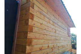 сруб обработан деревозащитным составом, цвет "Груша", обналичка вокруг двери и окон выделена цветом "Рабина"