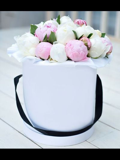 19 пионов в шляпной коробке