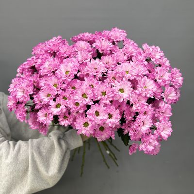 Букет из 15 кустовых хризантем