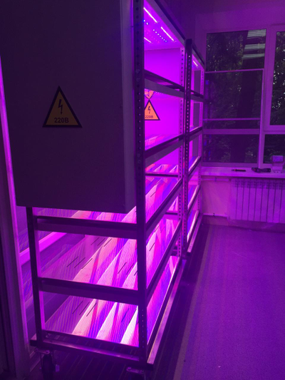 LED 5sheif-fitocontrol