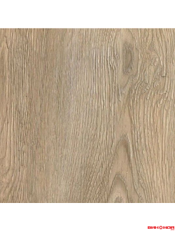 FX013 Дуб Шотландский