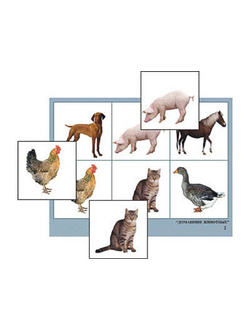 Лото "Домашние животные" (4 планшета, 24 карт., цвет., ламинир.)