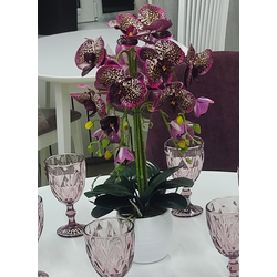 Орхидея бордо 6 малая в горшке