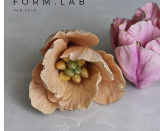 ТЮЛЬПАН РАСКРЫТЫЙ