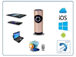 Видеоняня /WiFi видеокамера панорамная с DVR (fish_R), HD) (360EyeS)