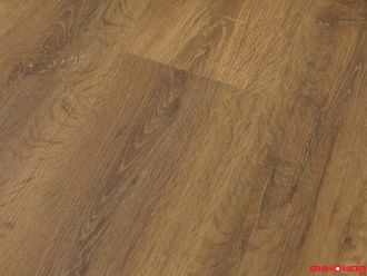 Сосна Сибирская 33 класс