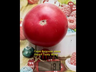 Томат Гном Вкусное вино (Dwarf Tasty Wine) Австралия, США