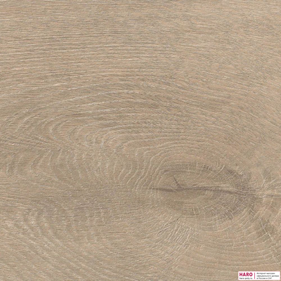 Декор ламината Haro Tritty 200 Aqua Дуб Венето Кремовый 541560 структура